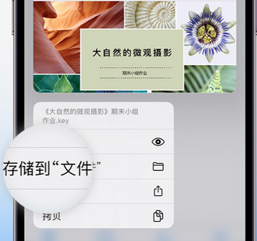 金牛apple维修中心分享iPhone文件应用中存储和找到下载文件