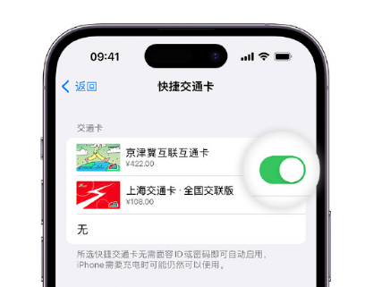 金牛apple维修点分享iPhone上更换Apple Pay快捷交通卡手绘卡面 