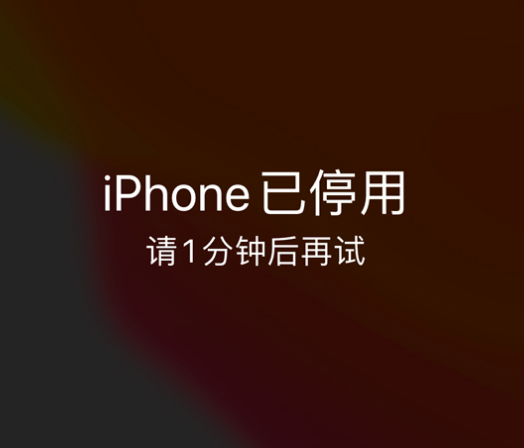 金牛苹果手机维修分享:iPhone 显示“不可用”或“已停用”怎么办？还能保留数据吗？ 