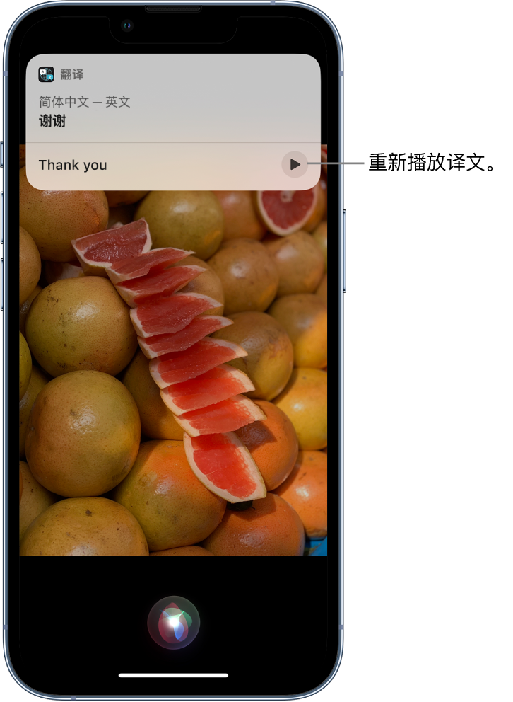 金牛苹果14维修分享 iPhone 14 机型中使用 Siri：了解 Siri 能帮你做什么 