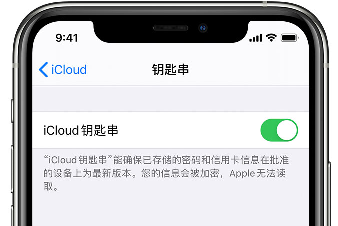 金牛苹果手机维修分享在 iPhone 上开启 iCloud 钥匙串之后会储存哪些信息 